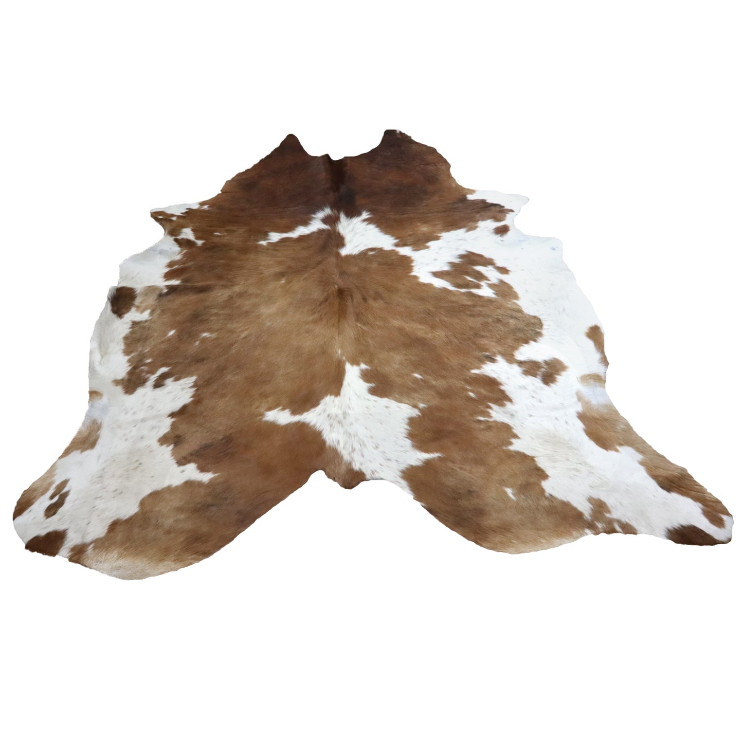 Large Brown and White Cow Hide