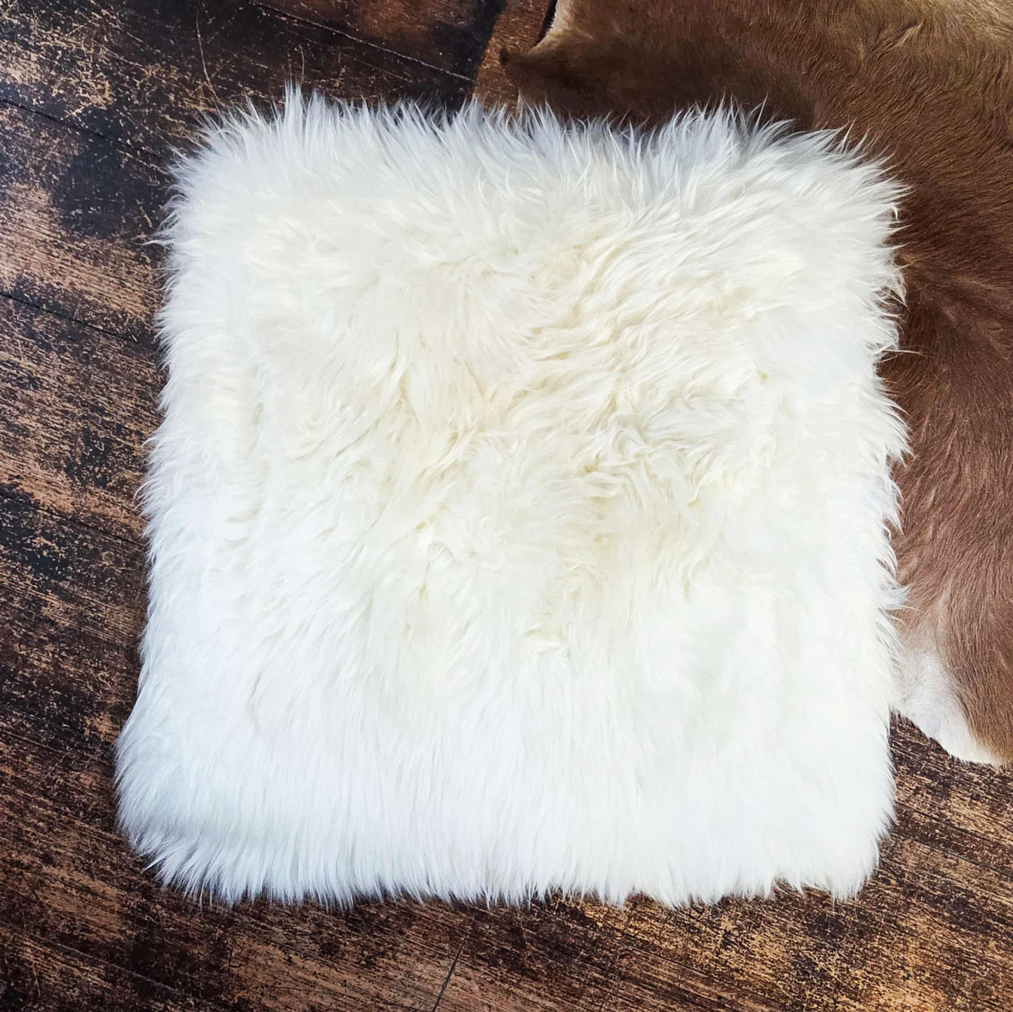 Australian Sheepskin Cushion- front